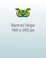 160 x 202 px ad